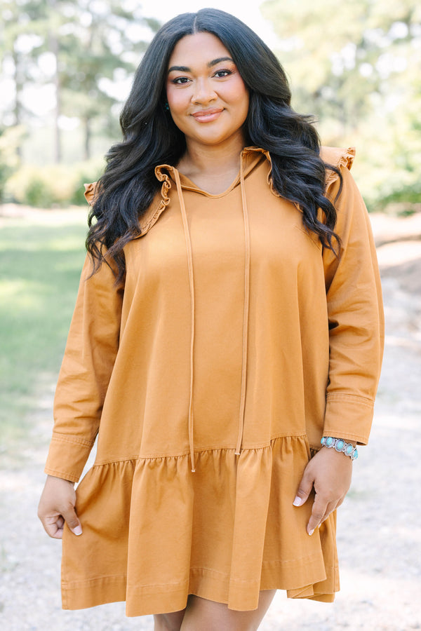 Plus Size brown long-sleeved babydoll dress with a ruffled oversized collar and tiered hem.