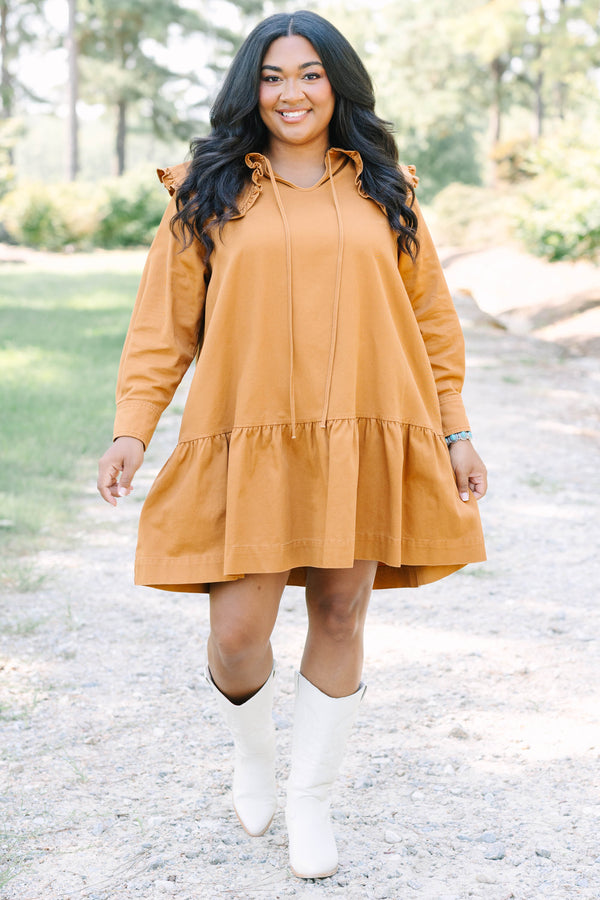 Plus Size brown long-sleeved babydoll dress with a ruffled oversized collar and tiered hem.