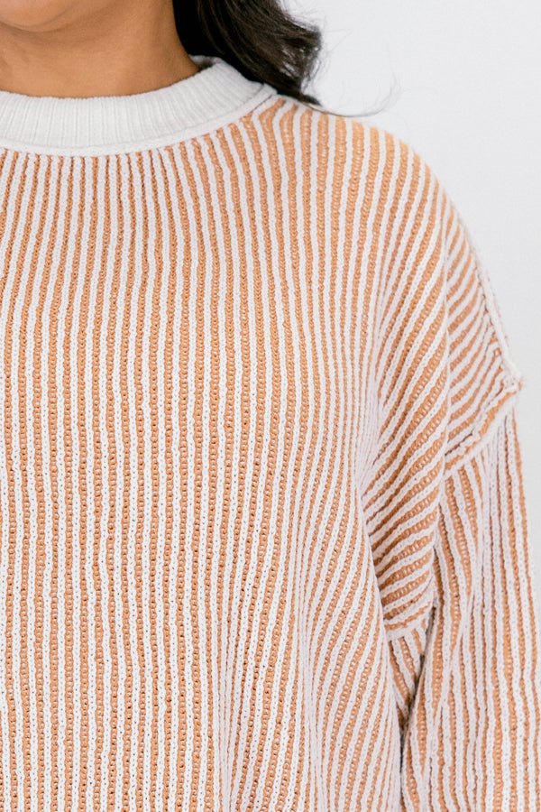 Chic Soul plus size clothing, brown and white striped sweater with an all white collar, cuffs, and trim