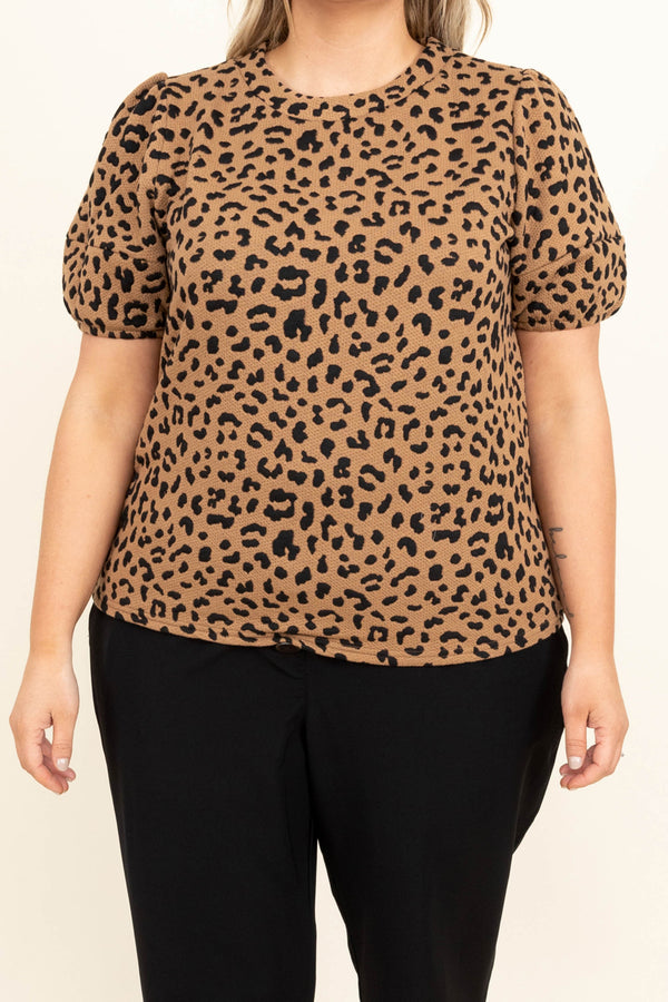 Chic Soul plus size clothing, mocha leopard print top